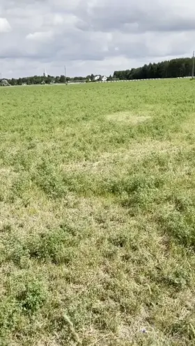 Let’s go for a picnic together? 🥰💕