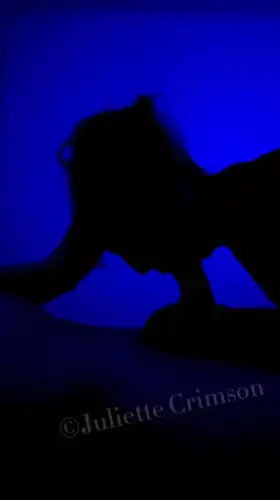 I love sucking his dick in the middle of the night