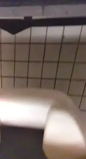 (NSFW) Shaky camerawork my fault. Security almost caught a Face full of this Dark Hairy MF.