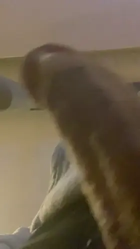 Sorry did I catch you off guard?