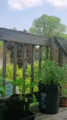 Some people drink cof[f]ee or read the paper on their porch... I masturbate on mine