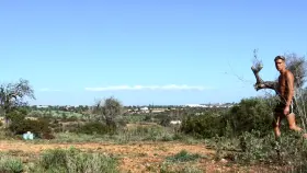 Looking for a playmate...