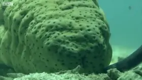 Hope this hasn’t been here before