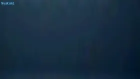 POV Neko Treatment (nyakumi)