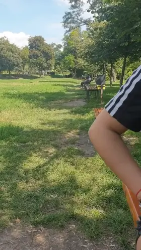 Just a quick flash in the park !