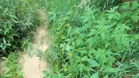 Sucking dick is way more fun outdoors