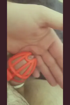 Caged ruin after 4 day lock up