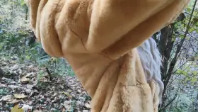 Wanna go for a stroll in the woods?