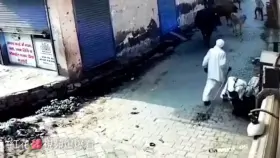 Sometimes the bull bonks back