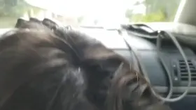 I like the risk of be caught doing a blowjob outside (OC)