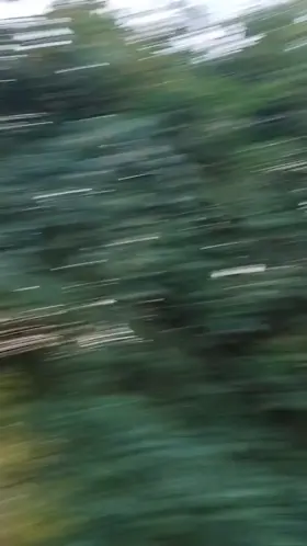 Yall better show some love, this was so risky