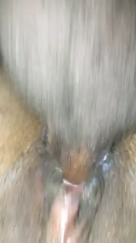 How do you think we did? Comment!