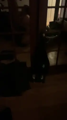 Another white girl going down [m]