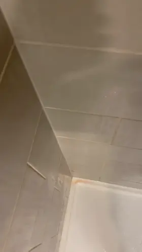 I made quite the mess