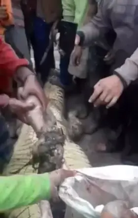 Man, how did you manage to eat that person