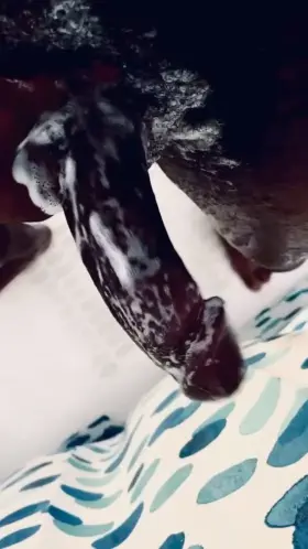 LETS HAVE FUN 😈🤩💦