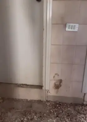 Do you prefer my masturbation or my tanline?