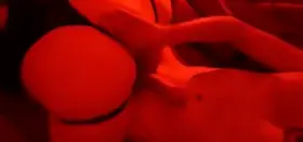 [OC] add us on sc @daggerbunny