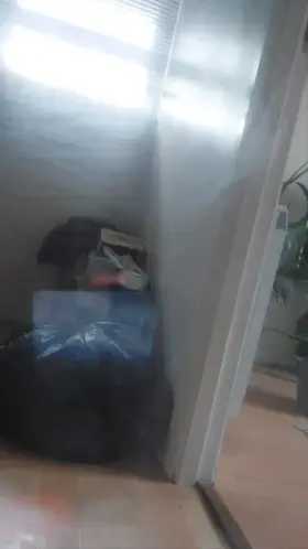 What my washing machine sees on my days off...