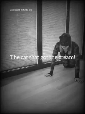 The cat that got the cream... Happy Halloween 🎃