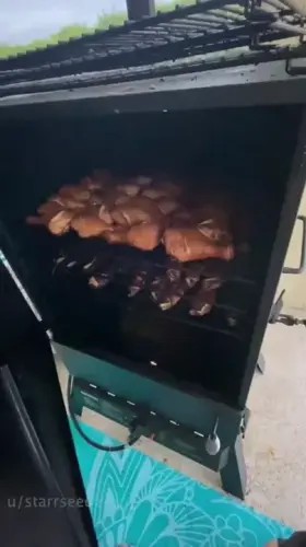 This chicken out here be bussin!!