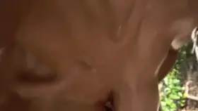 Please help me find this girl