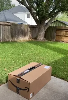 Curvy Amazon Prime Delivery