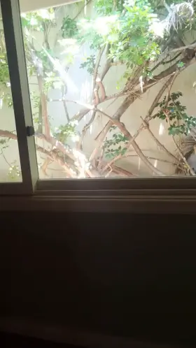 There's something very satisfying about [m]asturbating in paradise [39]