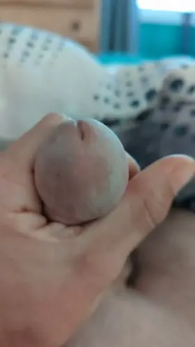 Why don't you just give it a kiss