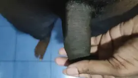 Anyone wanna play with my little cock , everyone is welcomed.