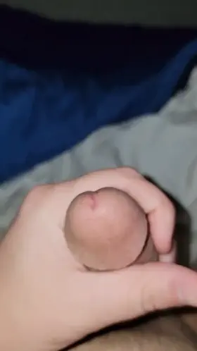 Hello and good morning[44]