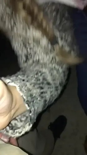 How it started and how it ended. Panties full of my cum.