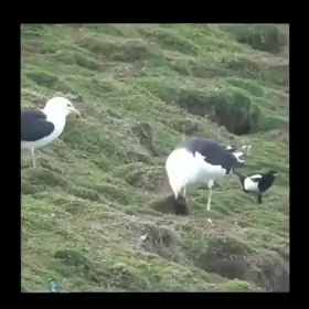 Hmm... dont see that everyday.