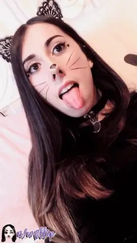 No pussy cat here 💕