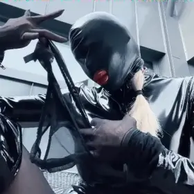 I solemnly swear I'm up to no good