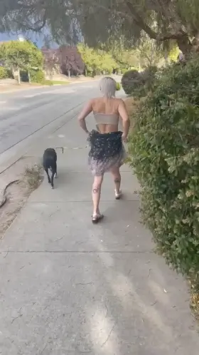 I can’t even walk the dogs without showing all the neighbors what a slut I am! 😝