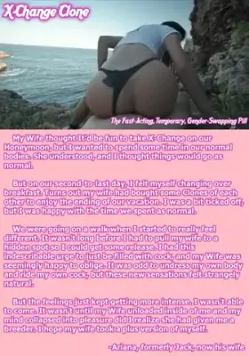 Swapping on Our Honeymoon