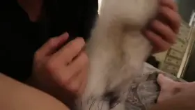 He licks me softly after I show him my new tail anal plug