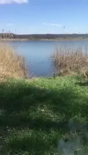 When you fry meat on two grills