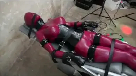 Sex doll strapped down for inspection