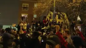 The boobs of celebration