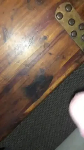 Wish it was on your tits (m35)