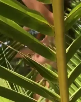 Ana Cheri 💞 march Updated file chek below if you wish 👇🏻👇🏻😘