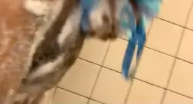 Someone help make this gummy worm stand up😮‍💨😈