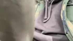 waiting in a long drive-thru line...