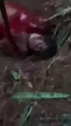 Mutilation of a congolese woman