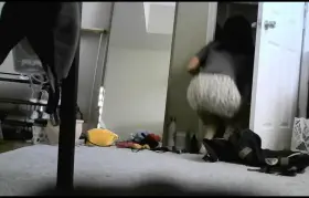 Would anybody fuck me?