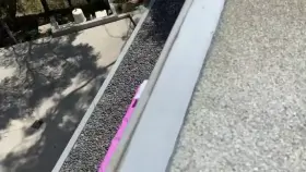 Gotta Love Summertime!