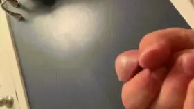 Can you count my ropes from my cut cock?