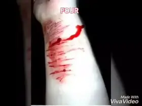 A Nice Compilation Video (New)